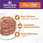 Wellness Grain Free Chicken Pate Cat Food 24-Pack