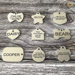 Personalized Engraved Stainless Steel Pet ID Tags