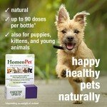HomePet Digestive Care for Happy Pets