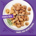 Purina Friskies Wet Cat Food Variety Pack