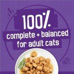Purina Friskies Wet Cat Food Variety Pack