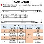 Bohemian Floral Dog Collar and Leash Set