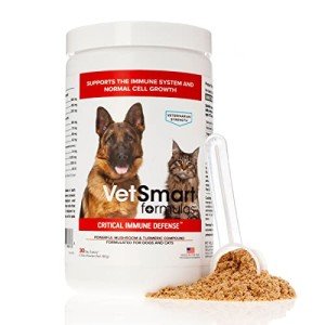 Immune Support for Dogs & Cats with Mushrooms