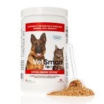 Immune Support for Dogs & Cats with Mushrooms