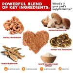 Immune Support for Dogs & Cats with Mushrooms