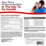 Immune Support for Dogs & Cats with Mushrooms