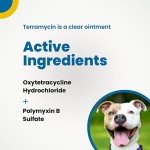 Terramycin Antibiotic Ointment for Pets' Eye Infections