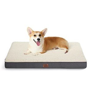 Medium Orthopedic Dog Bed with Washable Cover