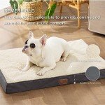 Medium Orthopedic Dog Bed with Washable Cover
