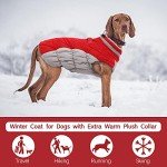 Cozy Winter Dog Coat with Built-in Harness