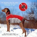 Cozy Winter Dog Coat with Built-in Harness