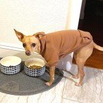 Cozy Winter Hoodie for Small Dogs and Cats