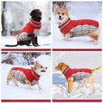 Cozy Winter Dog Coat with Built-in Harness