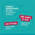 Purina Friskies Tasty Treasures Cat Food Variety Pack