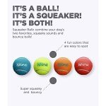 Outward Hound Dog Squeaker Balls - Set of 4