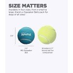 Outward Hound Dog Squeaker Balls - Set of 4