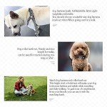 Adjustable Dog Harness and Leash Set - Checkered