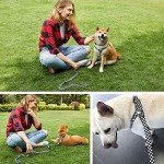 Adjustable Dog Harness and Leash Set - Checkered