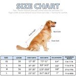 Adjustable Dog Harness and Leash Set - Checkered