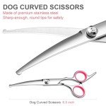 Safety Round Tip Dog Grooming Scissors Set