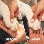 Dremel PawControl Nail Grinder for Dogs & Cats