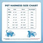 Voyager Step-In Air Dog Harness - All Weather Mesh