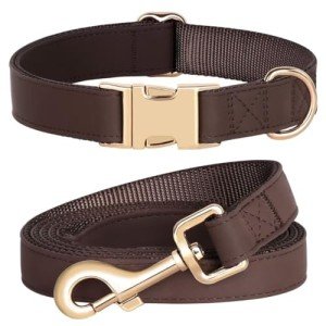 Soft Leather Dog Collar and Leash Set for Dogs