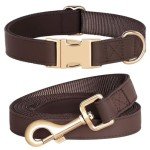 Soft Leather Dog Collar and Leash Set for Dogs