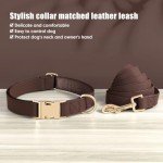 Soft Leather Dog Collar and Leash Set for Dogs