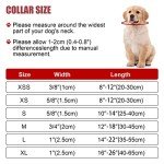 Adjustable Reflective Dog Collar in Hot Pink