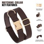 Soft Leather Dog Collar and Leash Set for Dogs