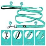 NESTROAD Reflective Dog Collar and Leash Set
