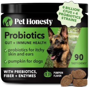 Dog Probiotic Chews for Gut & Immune Health