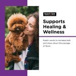 Nutri-Vet Anti-Diarrhea Liquid for Dogs, 4 oz