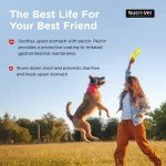 Nutri-Vet Anti-Diarrhea Liquid for Dogs, 4 oz