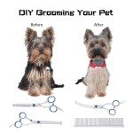 SCEDREAM 5-in-1 Safety Pet Grooming Scissors