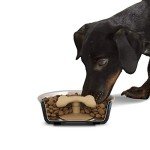 Loving Pets Gobble Stopper Slow Feeder for Dogs