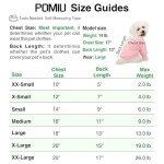 Cozy Dog Sweaters 2 or 3 Pack (X-Small)