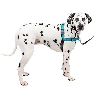PetSafe Easy Walk Deluxe No Pull Dog Harness