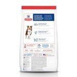 Hill's Science Diet Senior Dog Food, Chicken & Rice