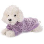 Cozy Dog Sweaters 2 or 3 Pack (X-Small)