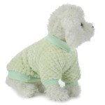 Cozy Dog Sweaters 2 or 3 Pack (X-Small)