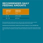 Purina ONE Natural Dry Cat Food with Chicken