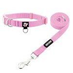 Pink Nylon Dog Collar and Leash Set for Small Dogs