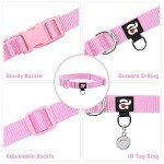 Pink Nylon Dog Collar and Leash Set for Small Dogs