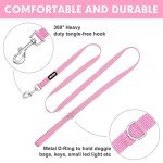 Pink Nylon Dog Collar and Leash Set for Small Dogs