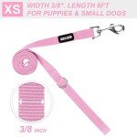 Pink Nylon Dog Collar and Leash Set for Small Dogs