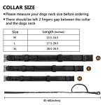 Adjustable Tactical Dog Collar and Leash Set