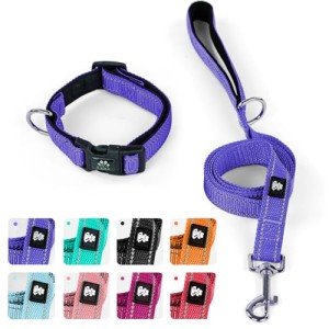 Reflective Adjustable Dog Collar and Leash Set