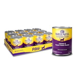 Wellness Complete Health Chicken & Sweet Potato Dog Food